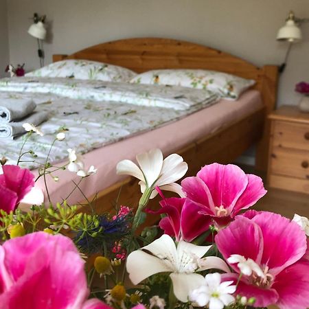 Ferienwohnung Elbsegler Bleckede Ngoại thất bức ảnh