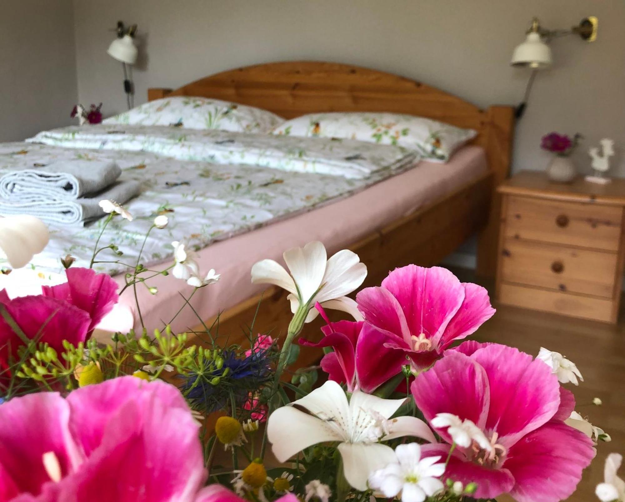 Ferienwohnung Elbsegler Bleckede Ngoại thất bức ảnh