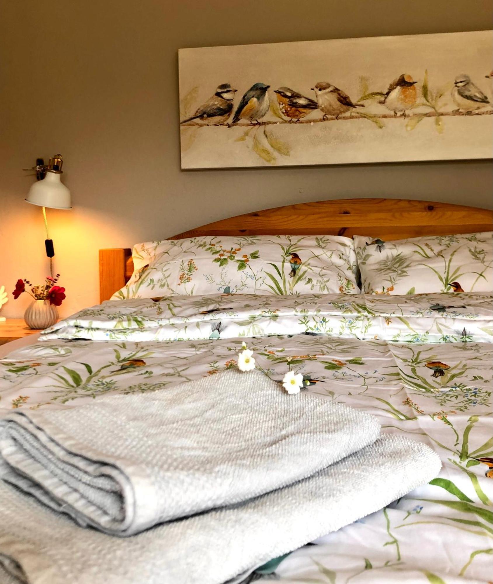Ferienwohnung Elbsegler Bleckede Ngoại thất bức ảnh